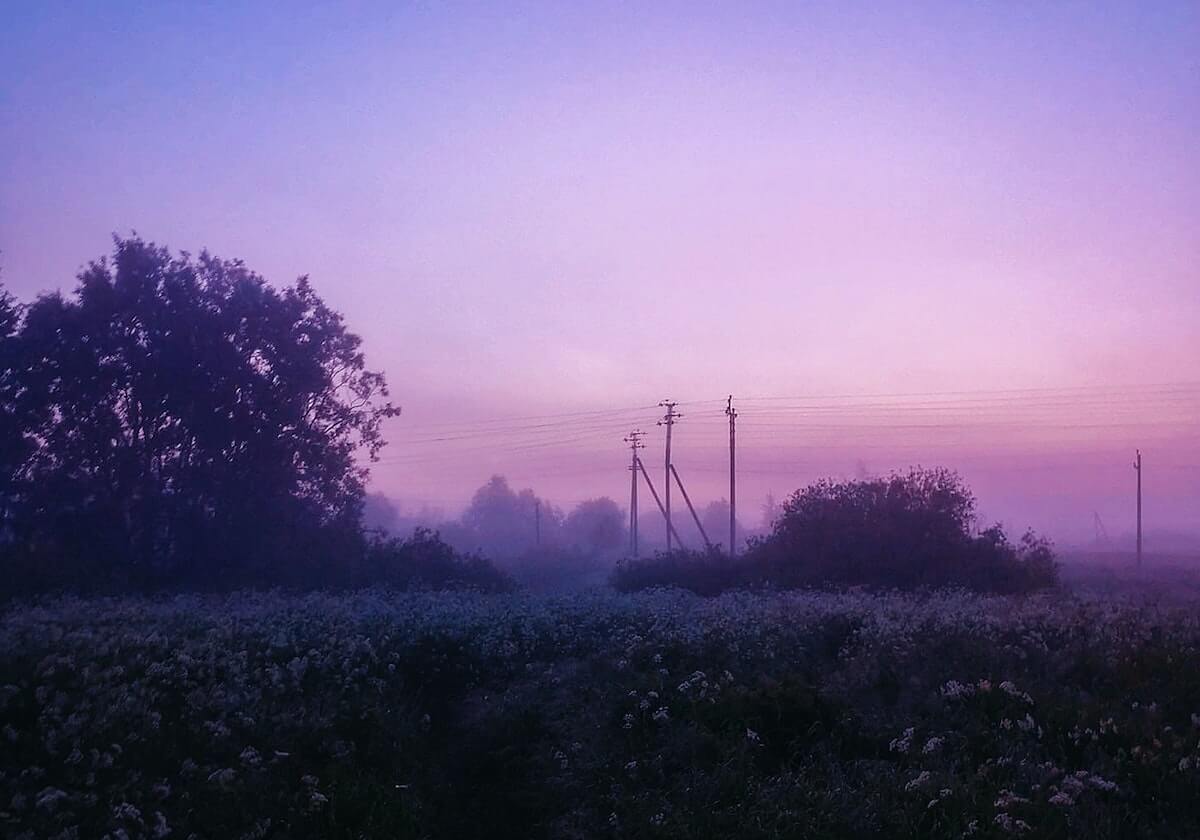 香蕉视频app会员免费下载