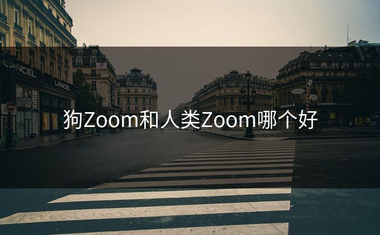 狗Zoom和人类Zoom哪个好