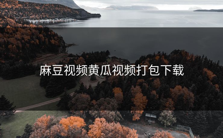 麻豆视频黄瓜视频打包下载