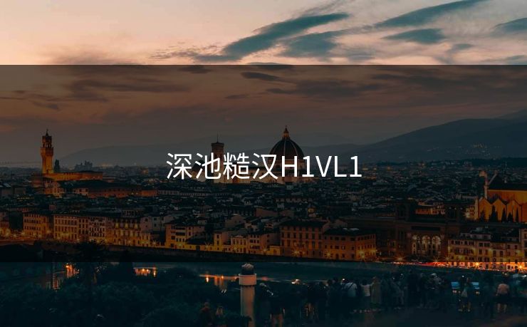 深池糙汉H1VL1