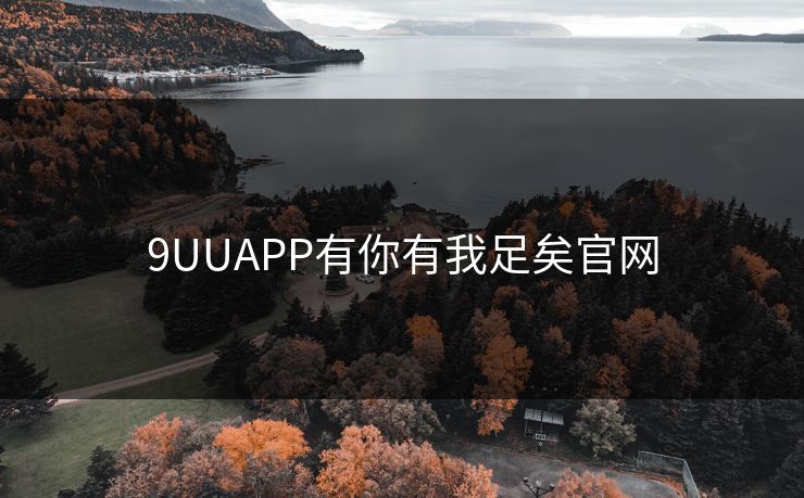 9UUAPP有你有我足矣官网