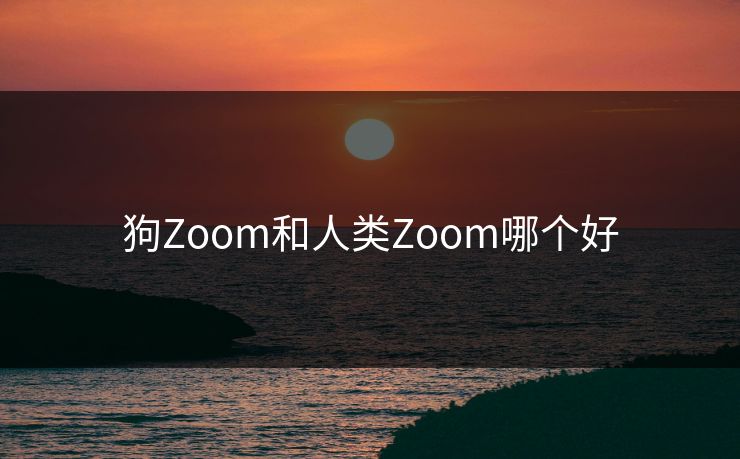 狗Zoom和人类Zoom哪个好