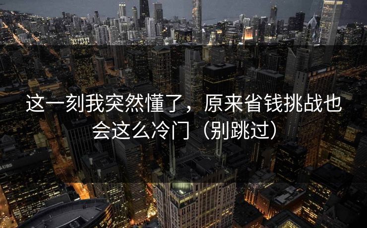 这一刻我突然懂了，原来省钱挑战也会这么冷门（别跳过）