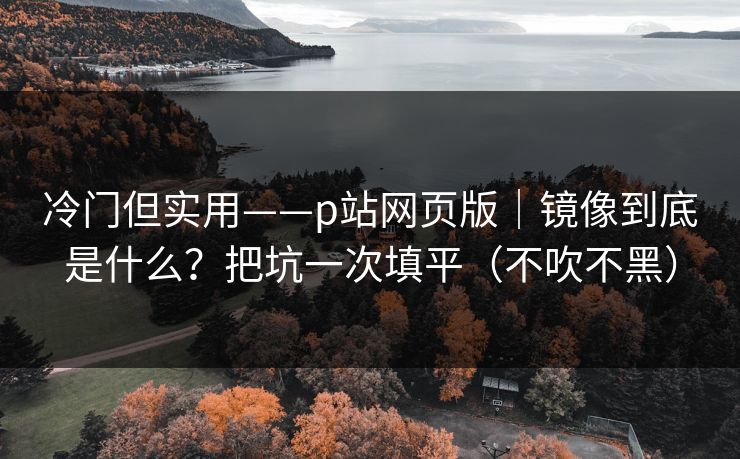 冷门但实用——p站网页版｜镜像到底是什么？把坑一次填平（不吹不黑）